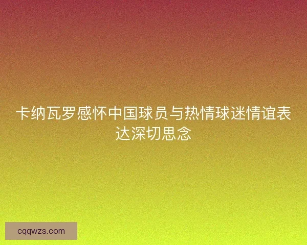 卡纳瓦罗感怀中国球员与热情球迷情谊表达深切思念