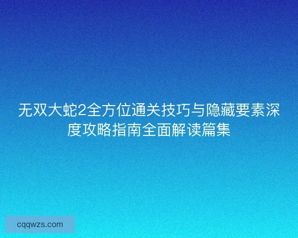 无双大蛇2全方位通关技巧与隐藏要素深度攻略指南全面解读篇集